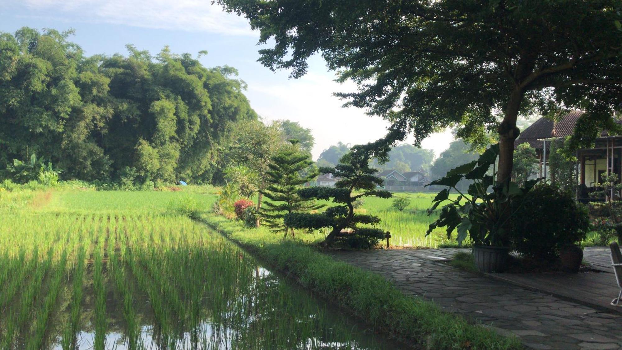 Lotus 2 Guest House มาเกอลัง ภายนอก รูปภาพ