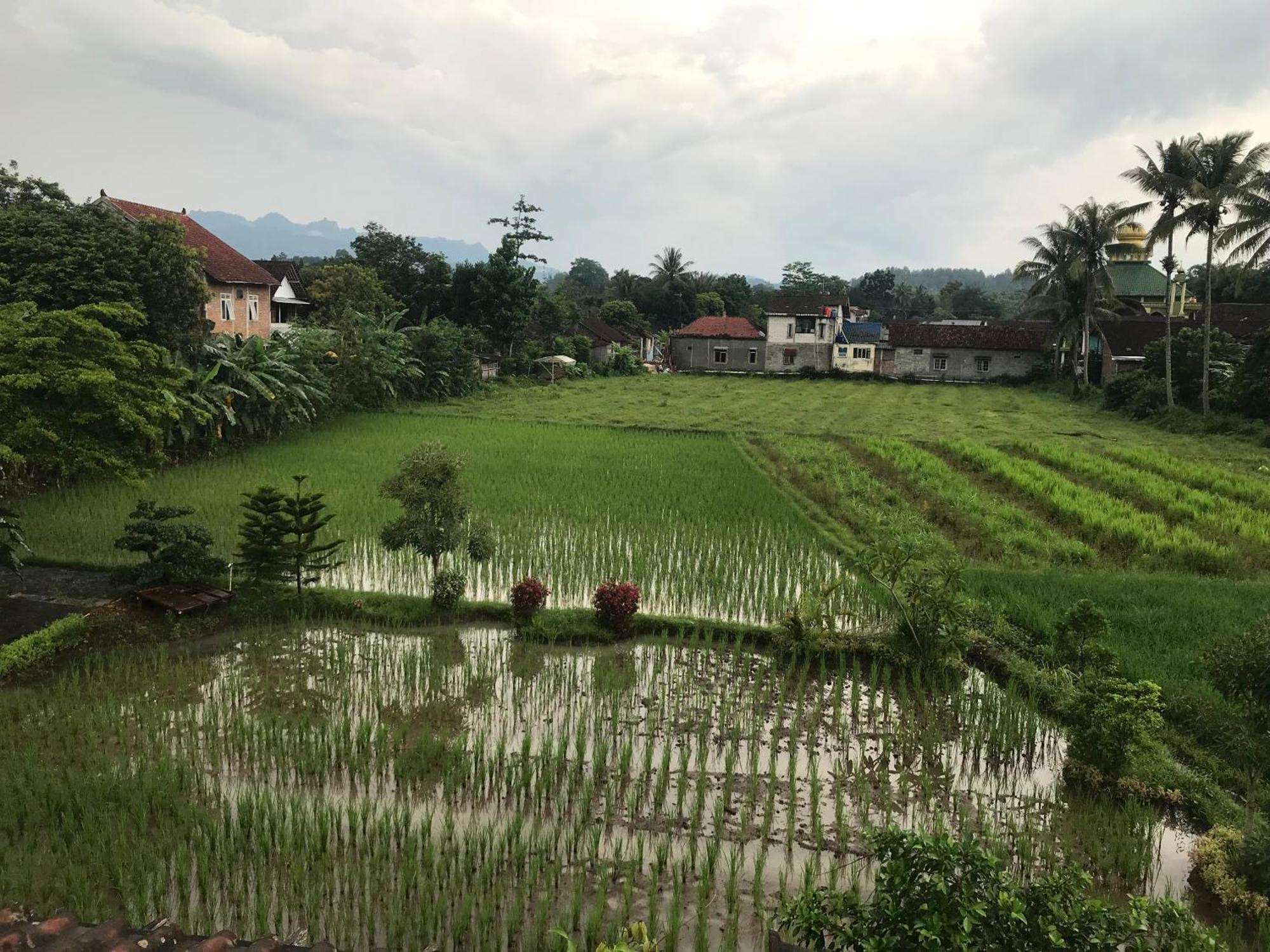 Lotus 2 Guest House มาเกอลัง ภายนอก รูปภาพ